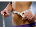 Разработка программы для похудения «Эффективная система снижения веса» от 258 руб.