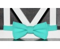 Уникальное предложение для тех, кто любит яркие аксессуары. Любая однотонная галстук-бабочка за 450 Р. г.Архангельск.
