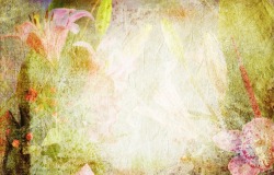 Создание сайта визитки за 1000 рублей вместо 5000